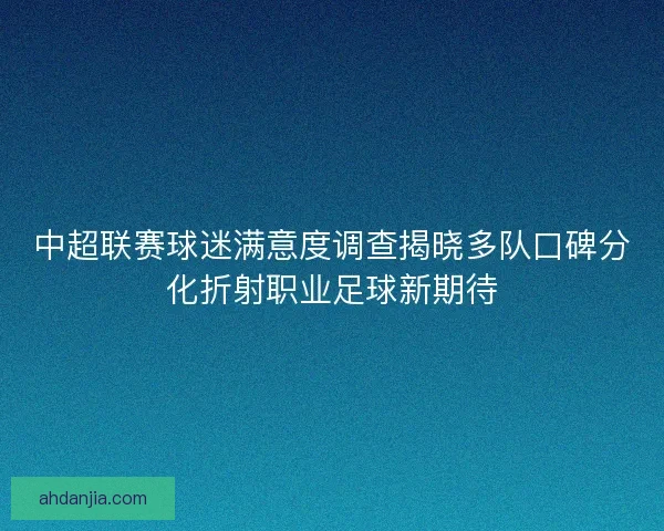 中超联赛球迷满意度调查揭晓多队口碑分化折射职业足球新期待